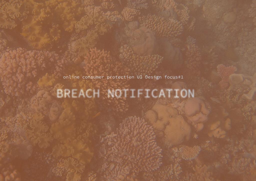 A conversation with Yixin Zou&nbsp;(邹熠欣)